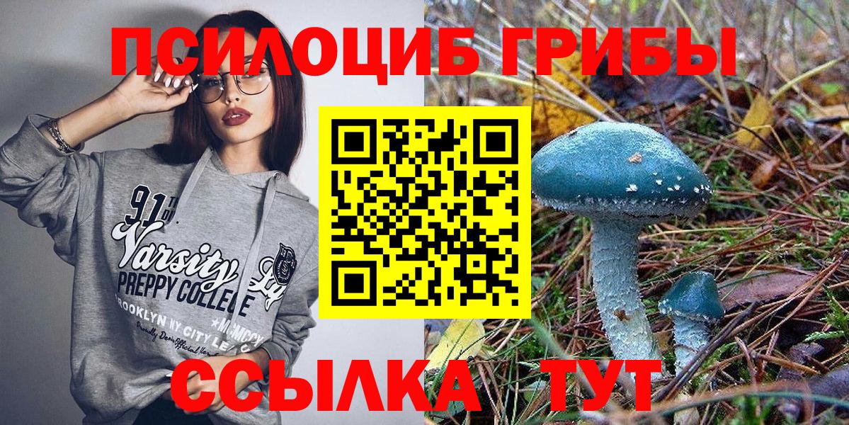 Галлюциногенные грибы Magic Shrooms Новоуральск